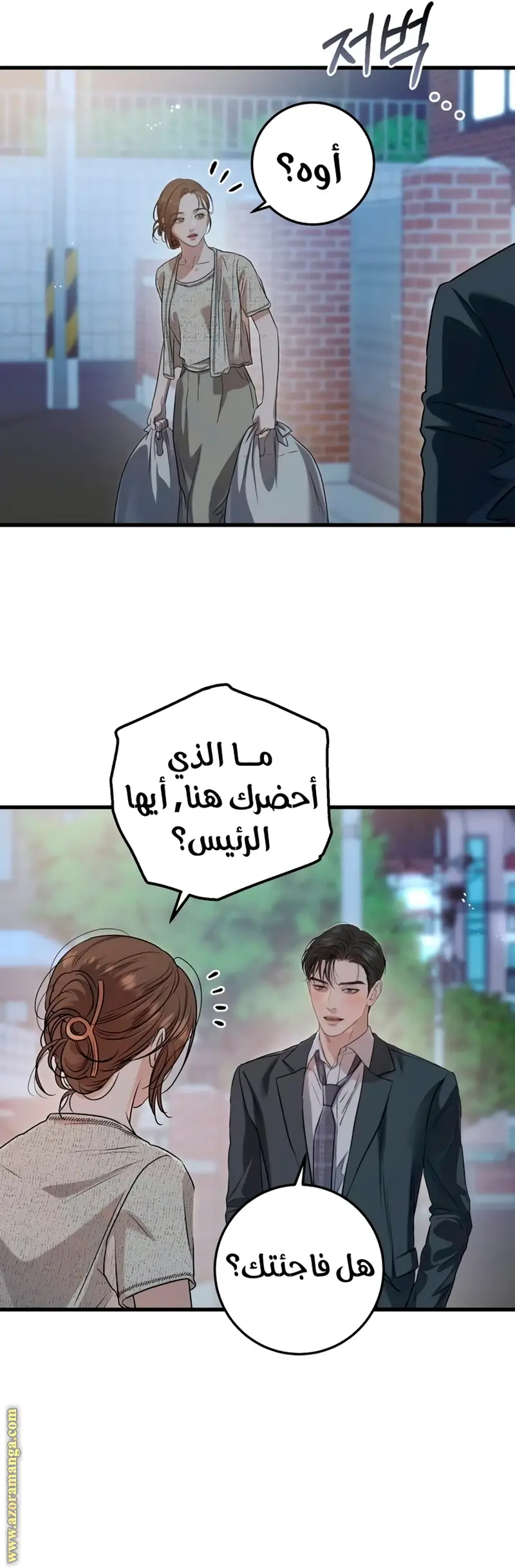 الصفحة 41