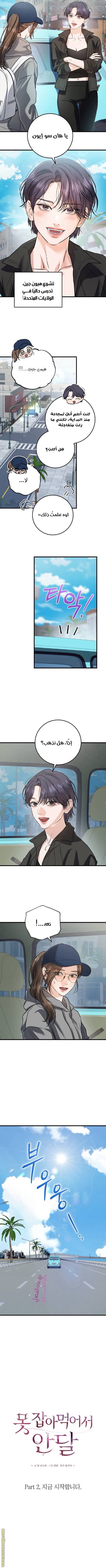 الصفحة 14