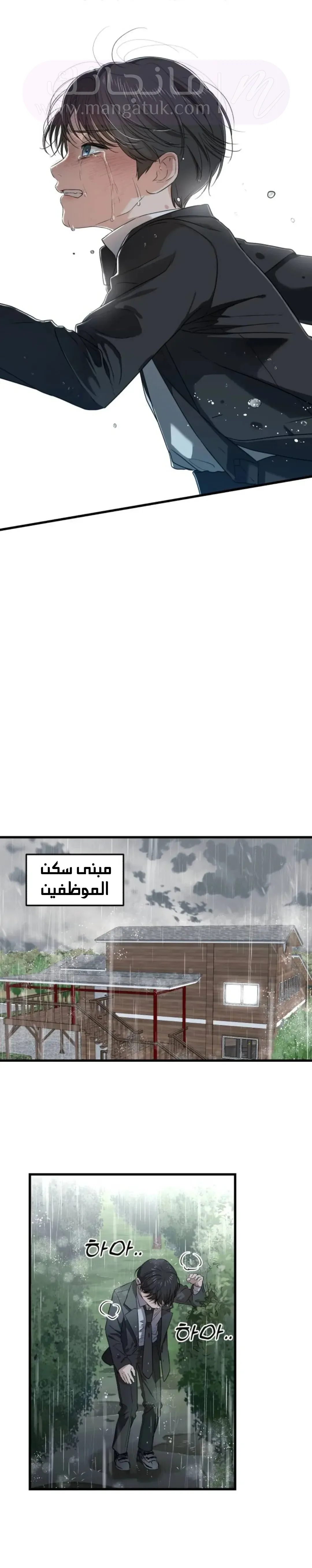 الصفحة 11