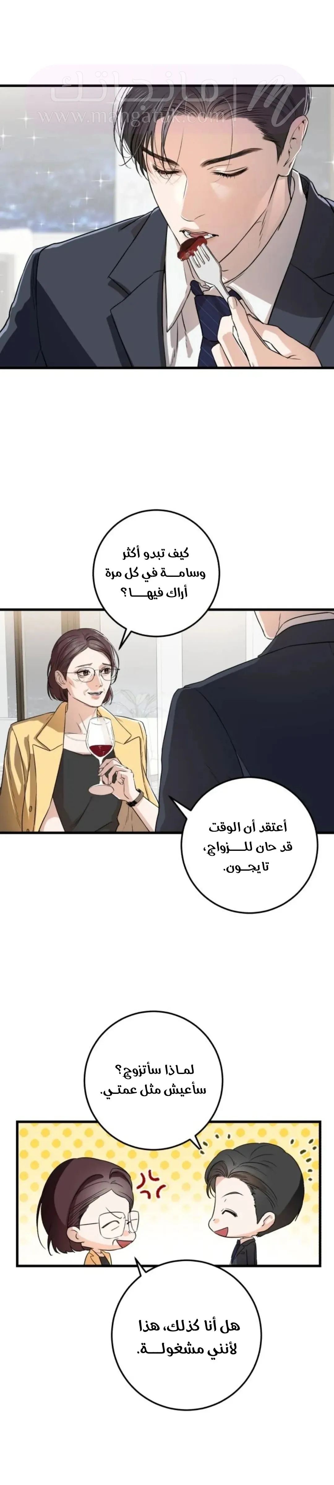 الصفحة 17