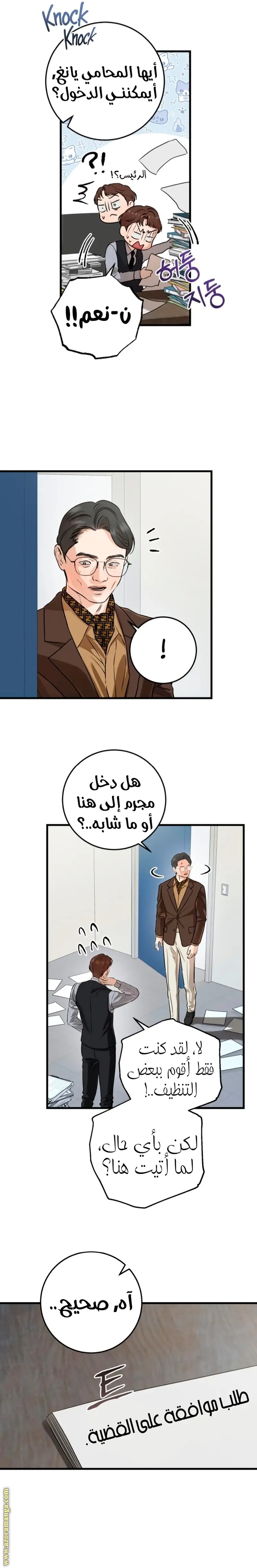 الصفحة 13