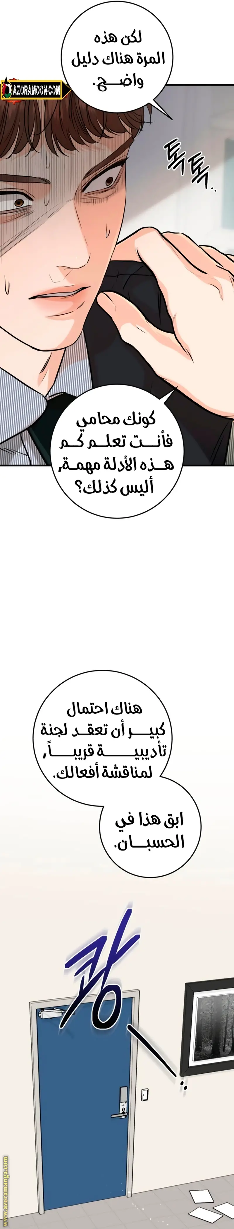الصفحة 16