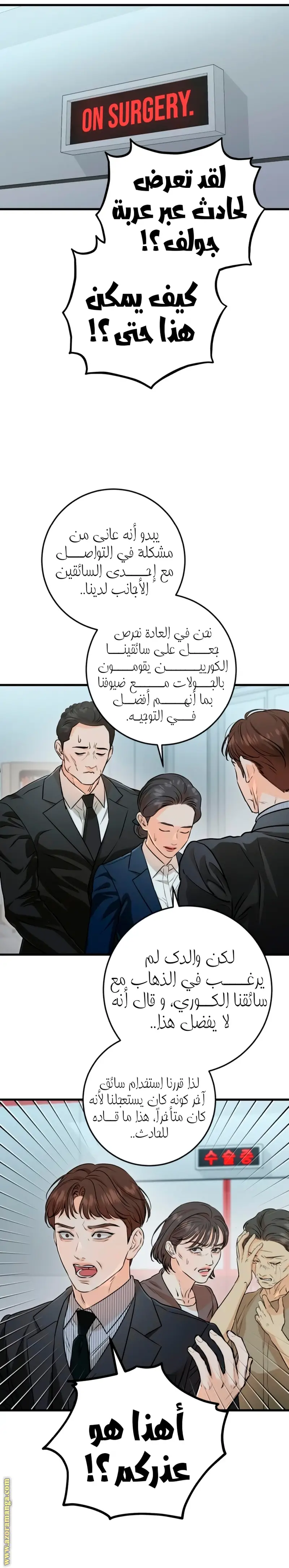 الصفحة 19