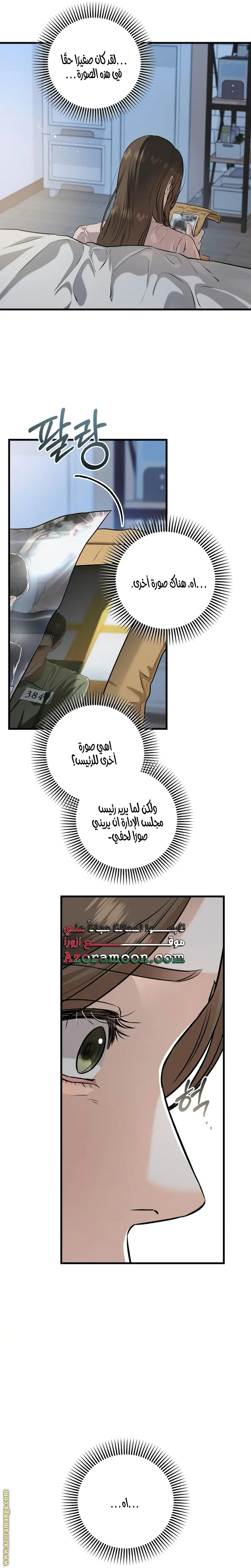 الصفحة 16