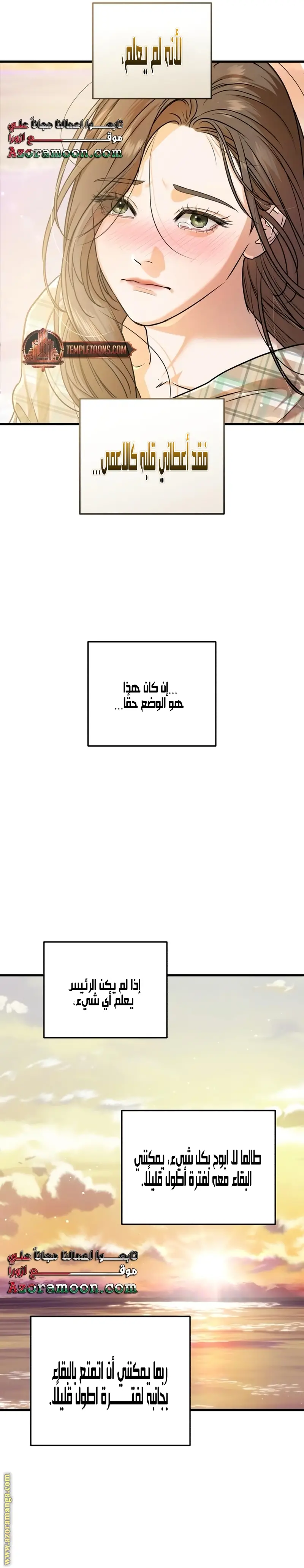 الصفحة 26
