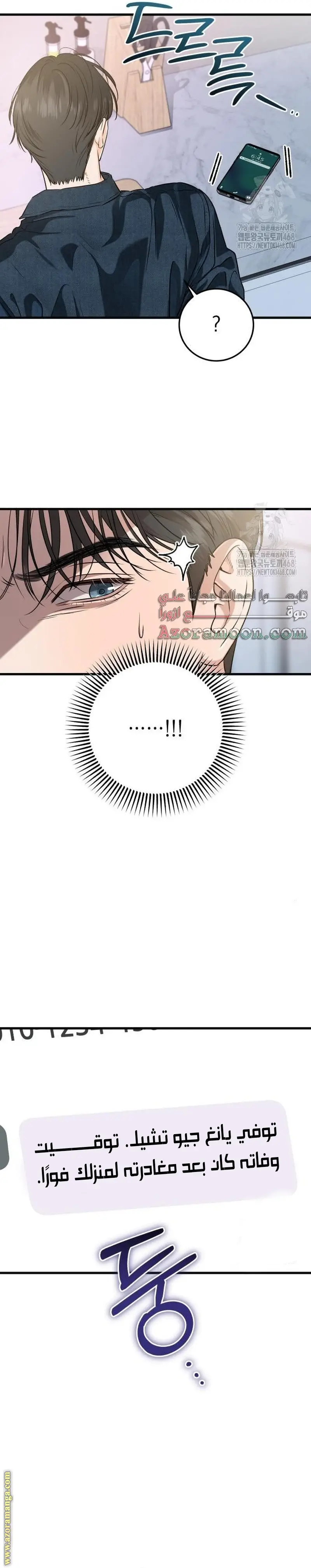 الصفحة 17