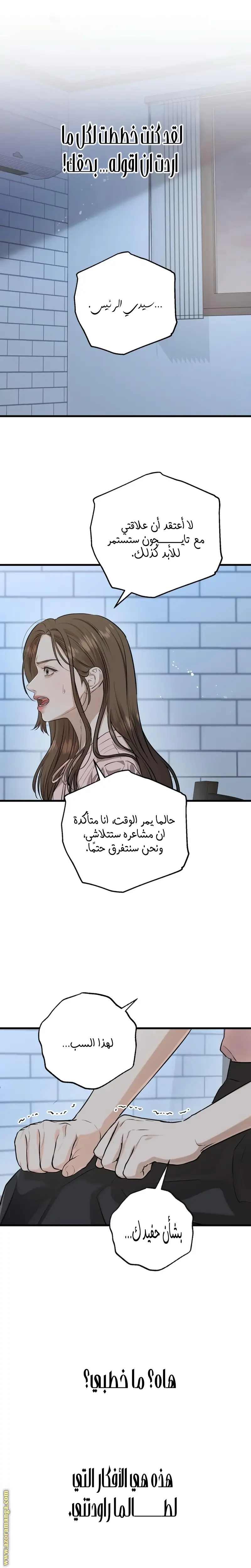 الصفحة 13
