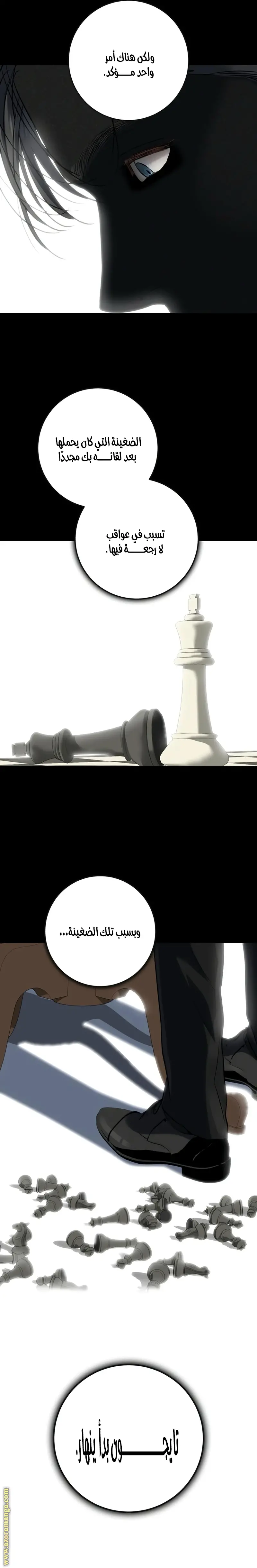 الصفحة 17
