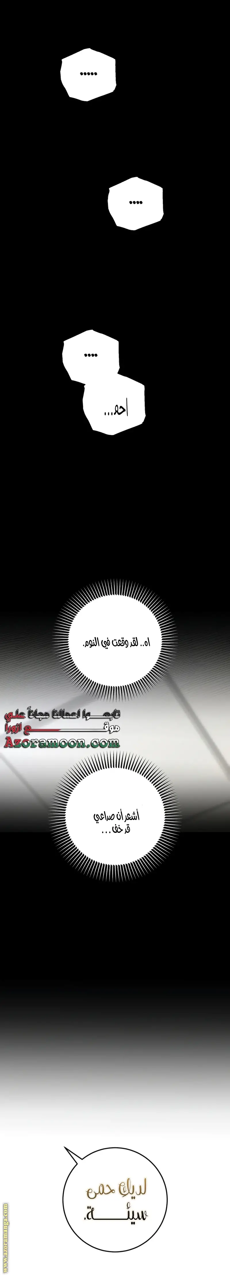 الصفحة 26