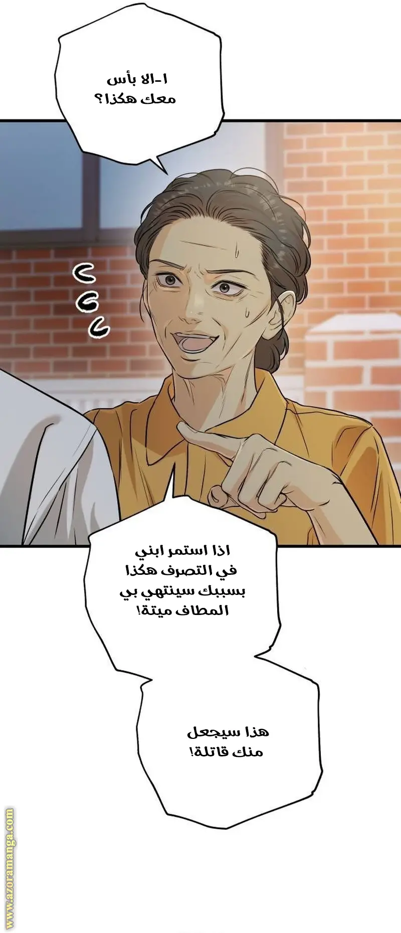الصفحة 21