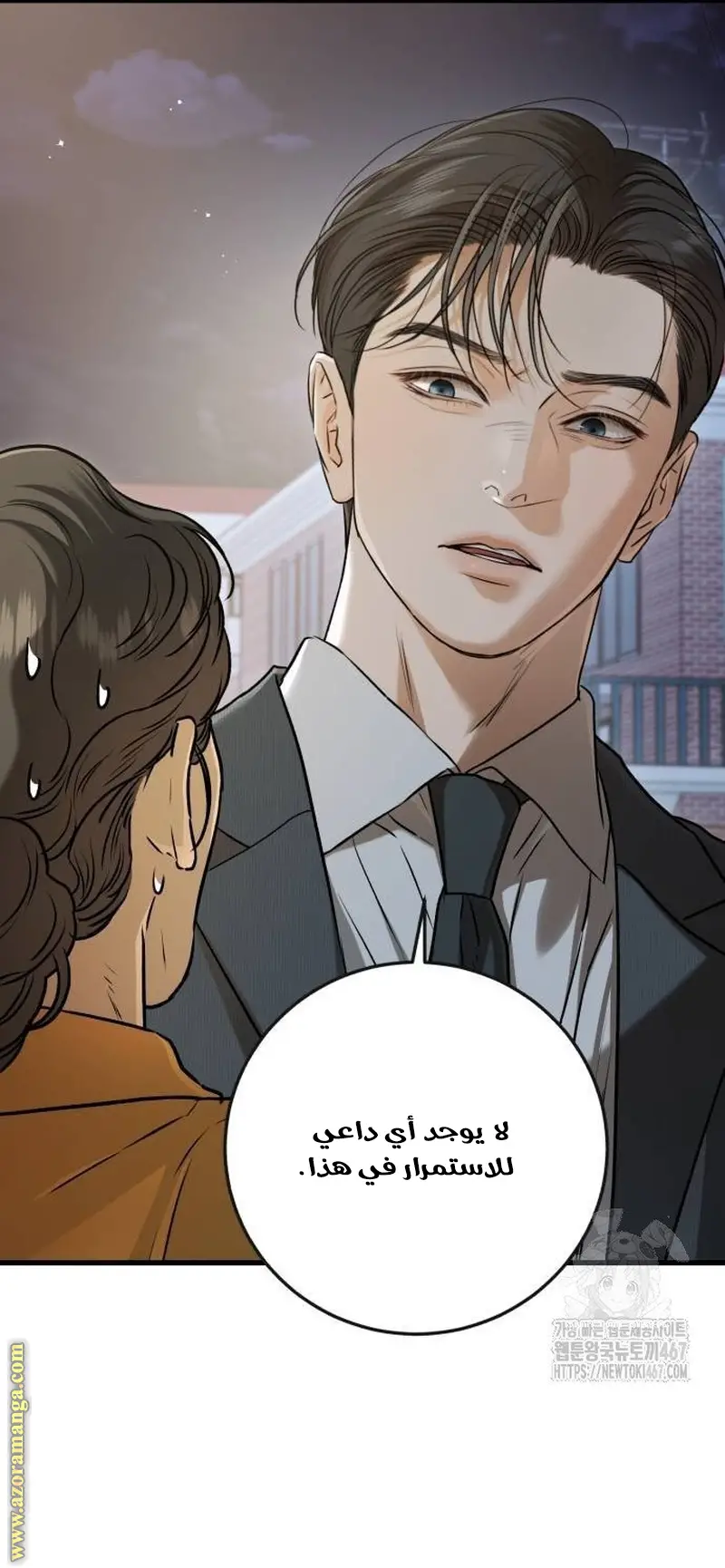 الصفحة 26