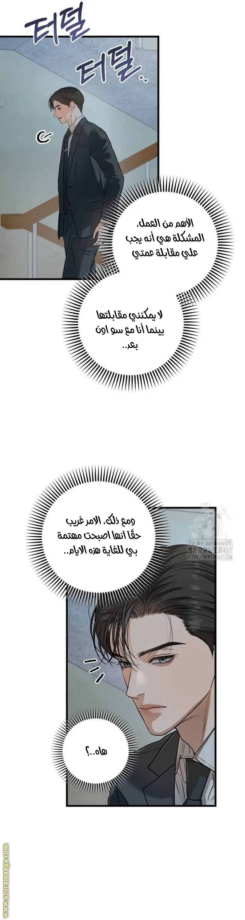 الصفحة 43