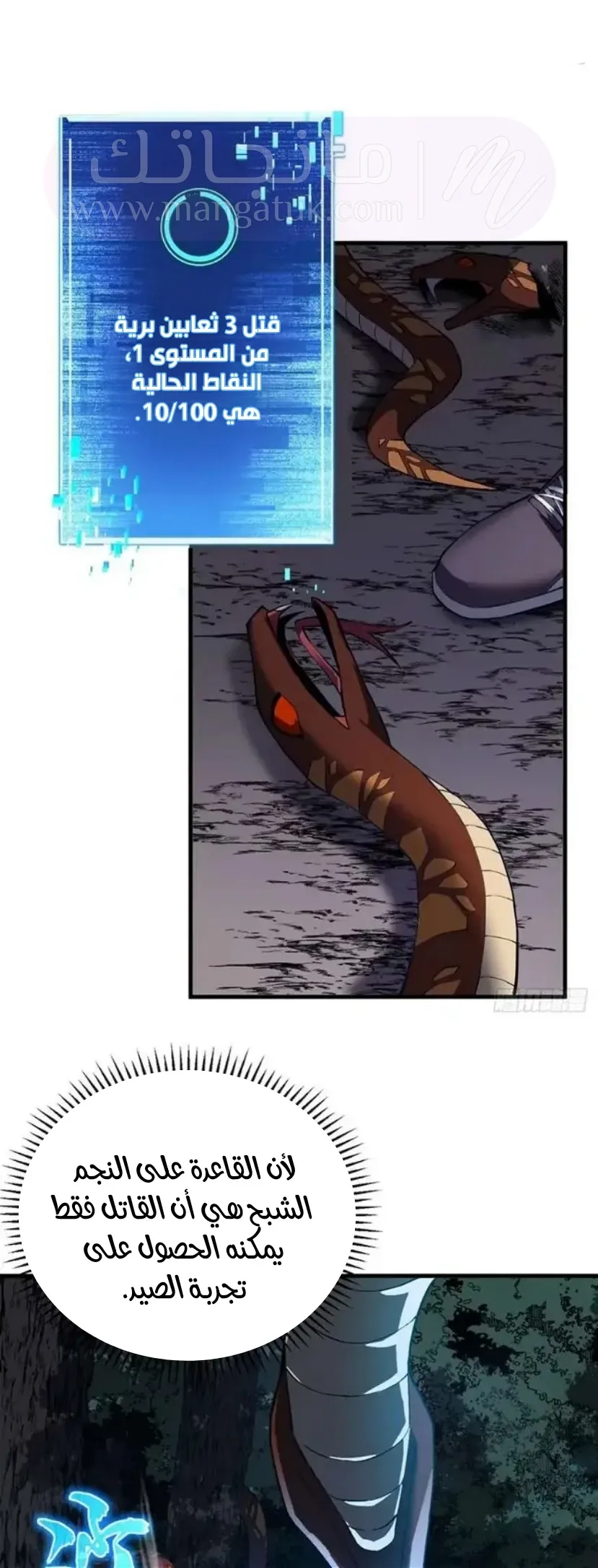 الصفحة 11