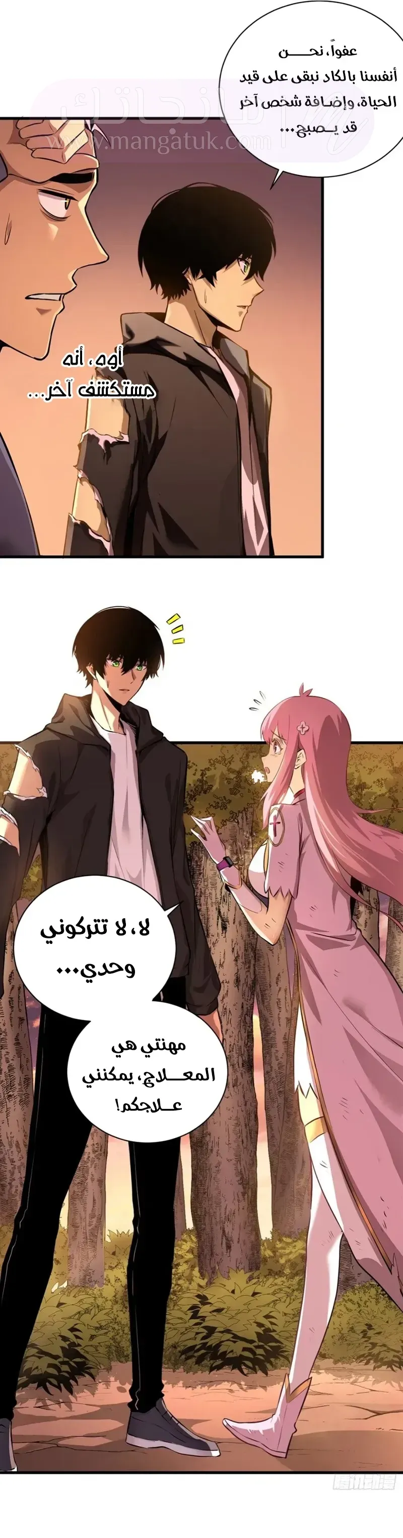 الصفحة 17