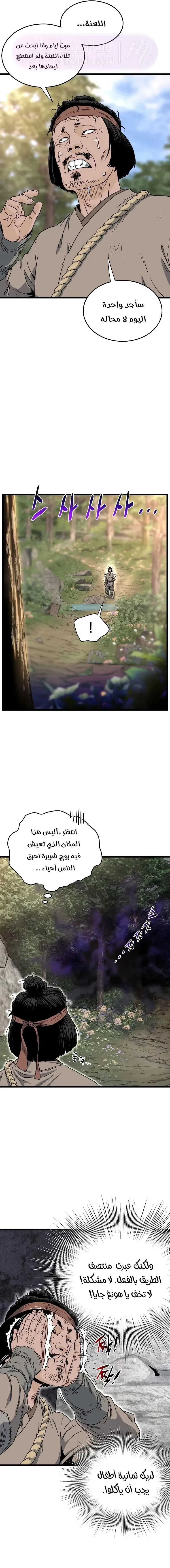 الصفحة 13