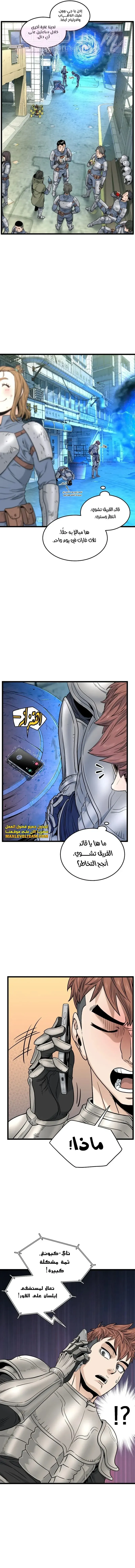 الصفحة 17