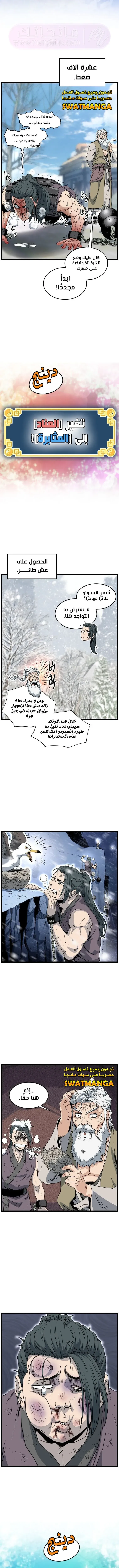 الصفحة 13