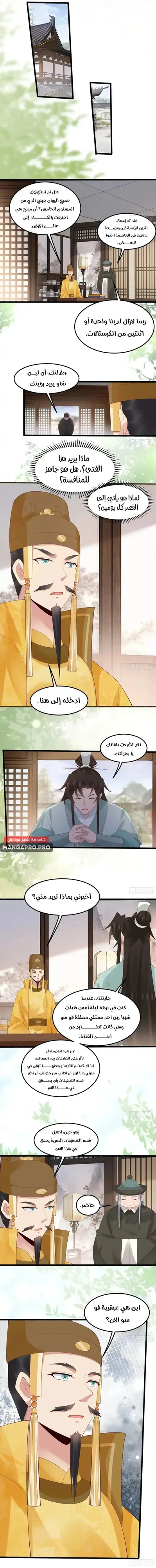 الصفحة 3