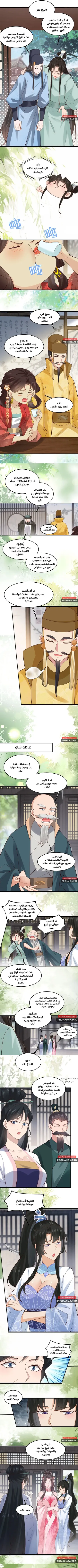 الصفحة 3