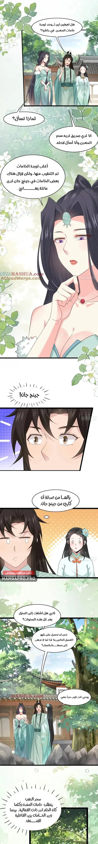 الصفحة 3