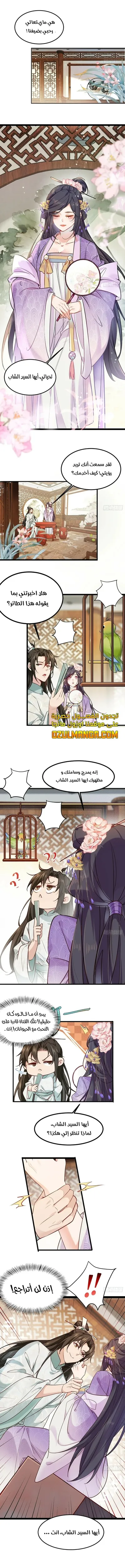 الصفحة 7