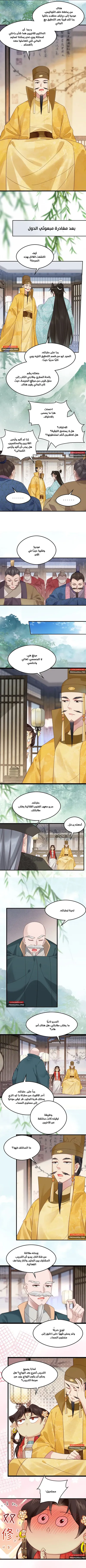 الصفحة 3