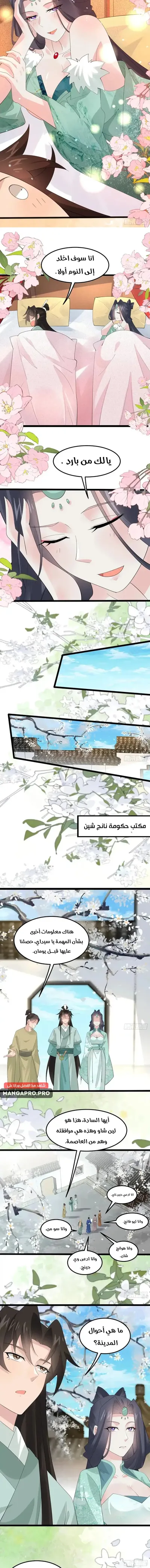 الصفحة 5