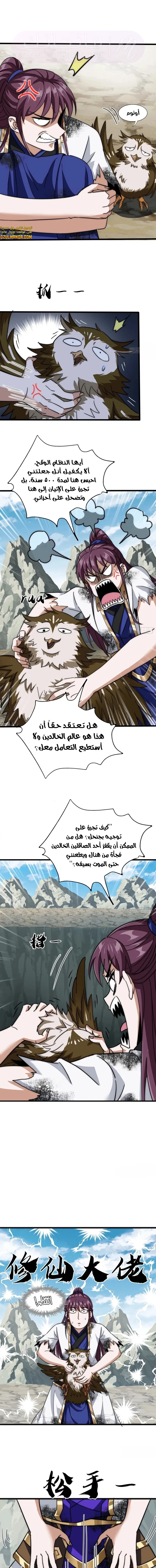 الصفحة 3