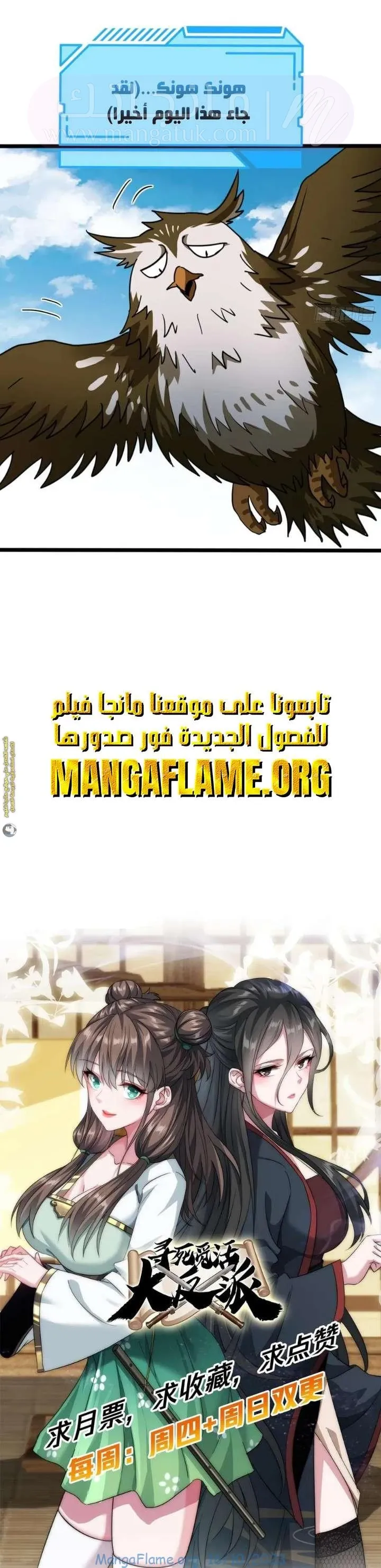 الصفحة 13
