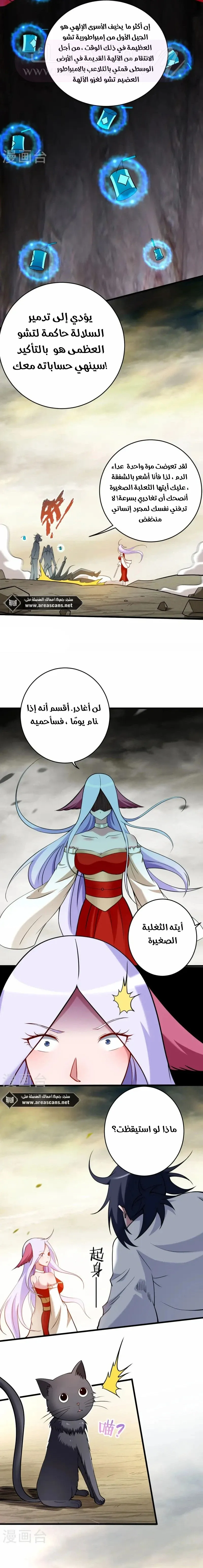 الصفحة 11