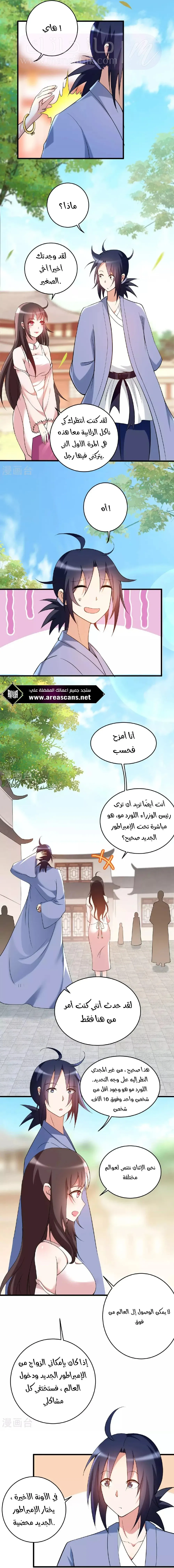 الصفحة 5