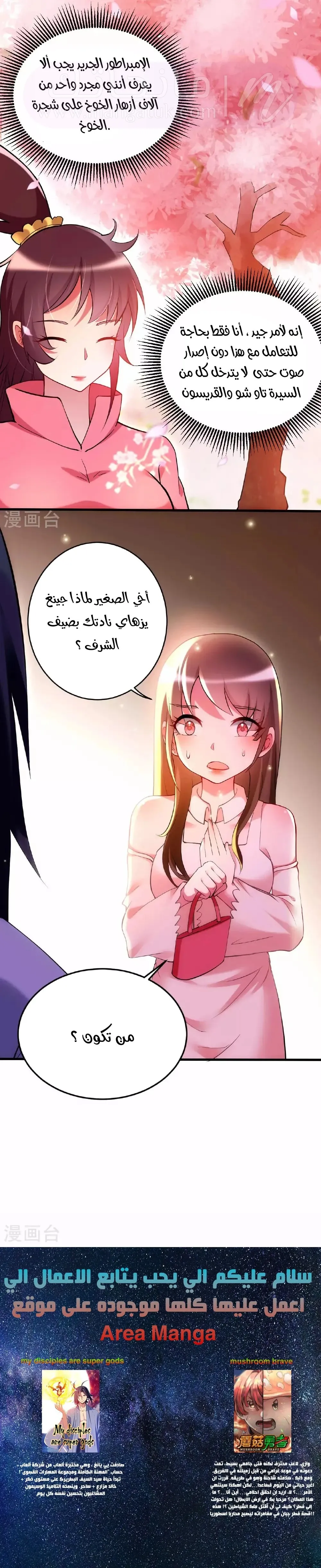 الصفحة 13