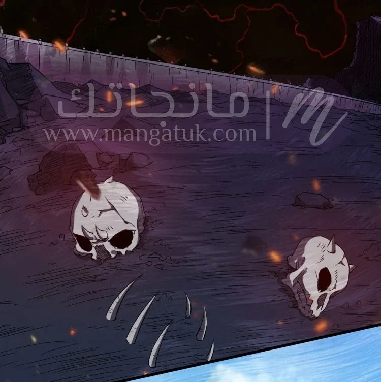 الصفحة 19