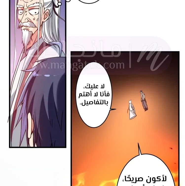 الصفحة 45
