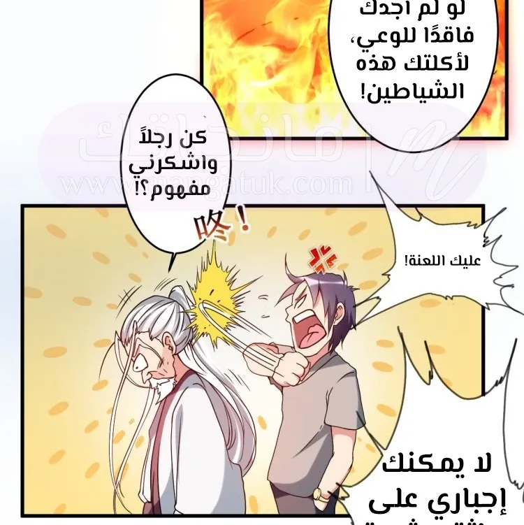الصفحة 46