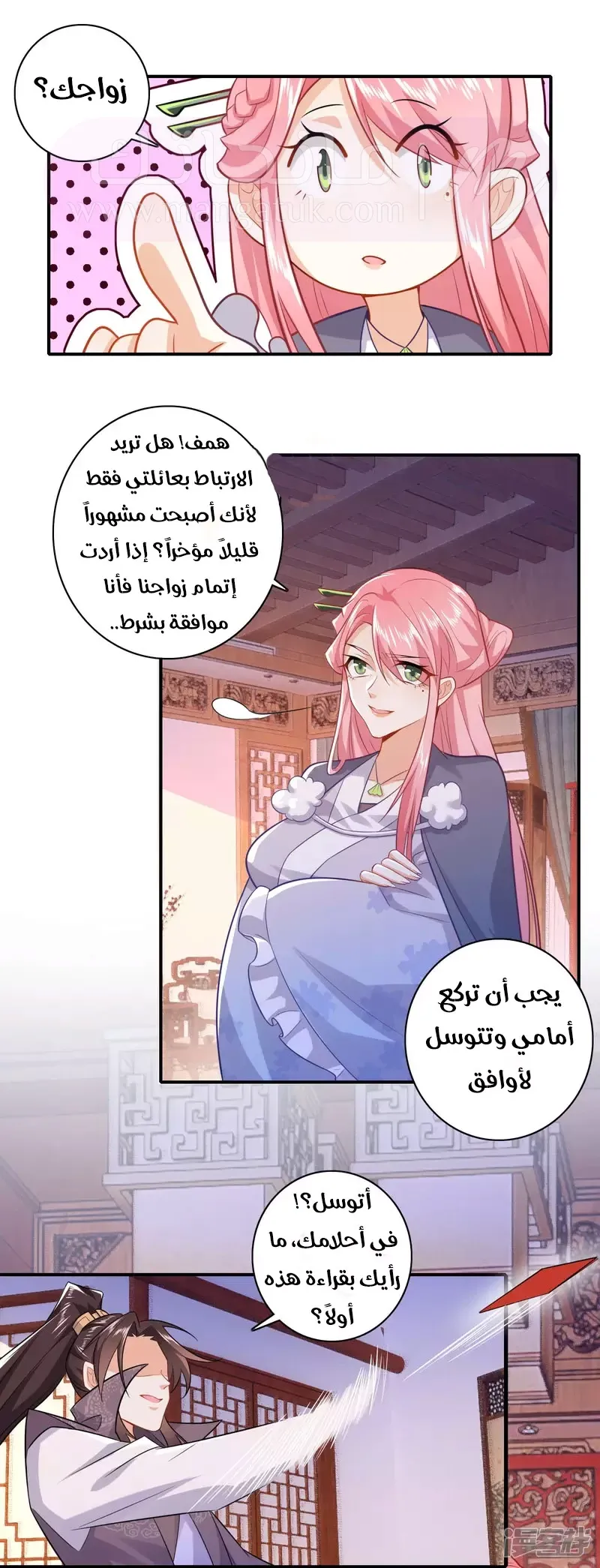 الصفحة 13