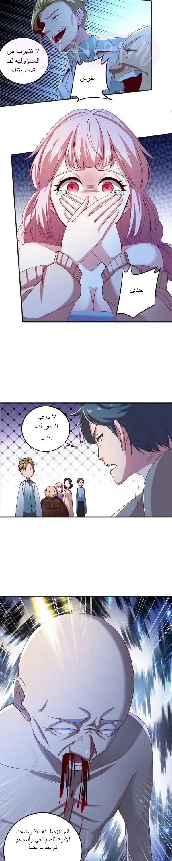 الصفحة 13