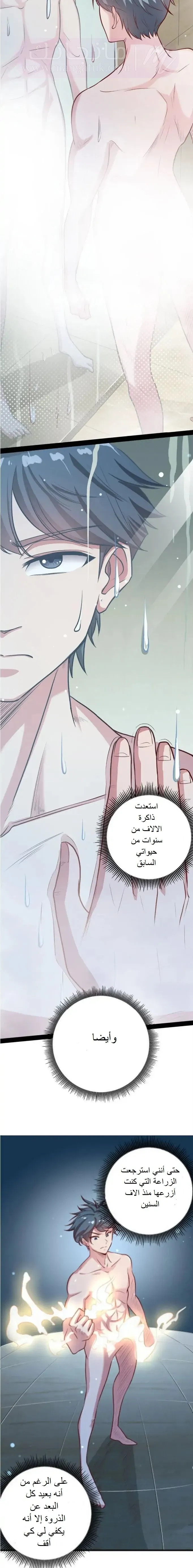 الصفحة 19