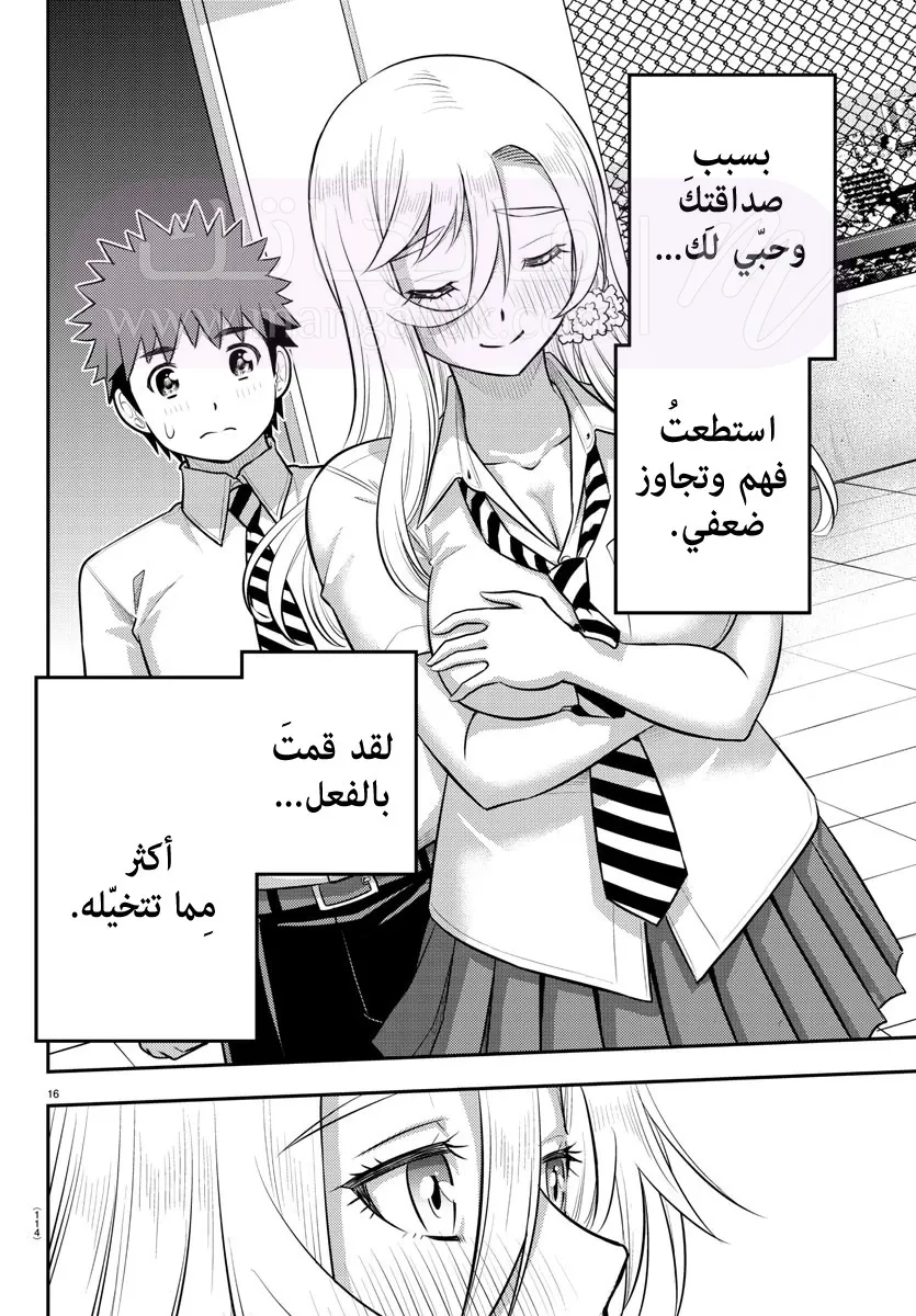 الصفحة 17