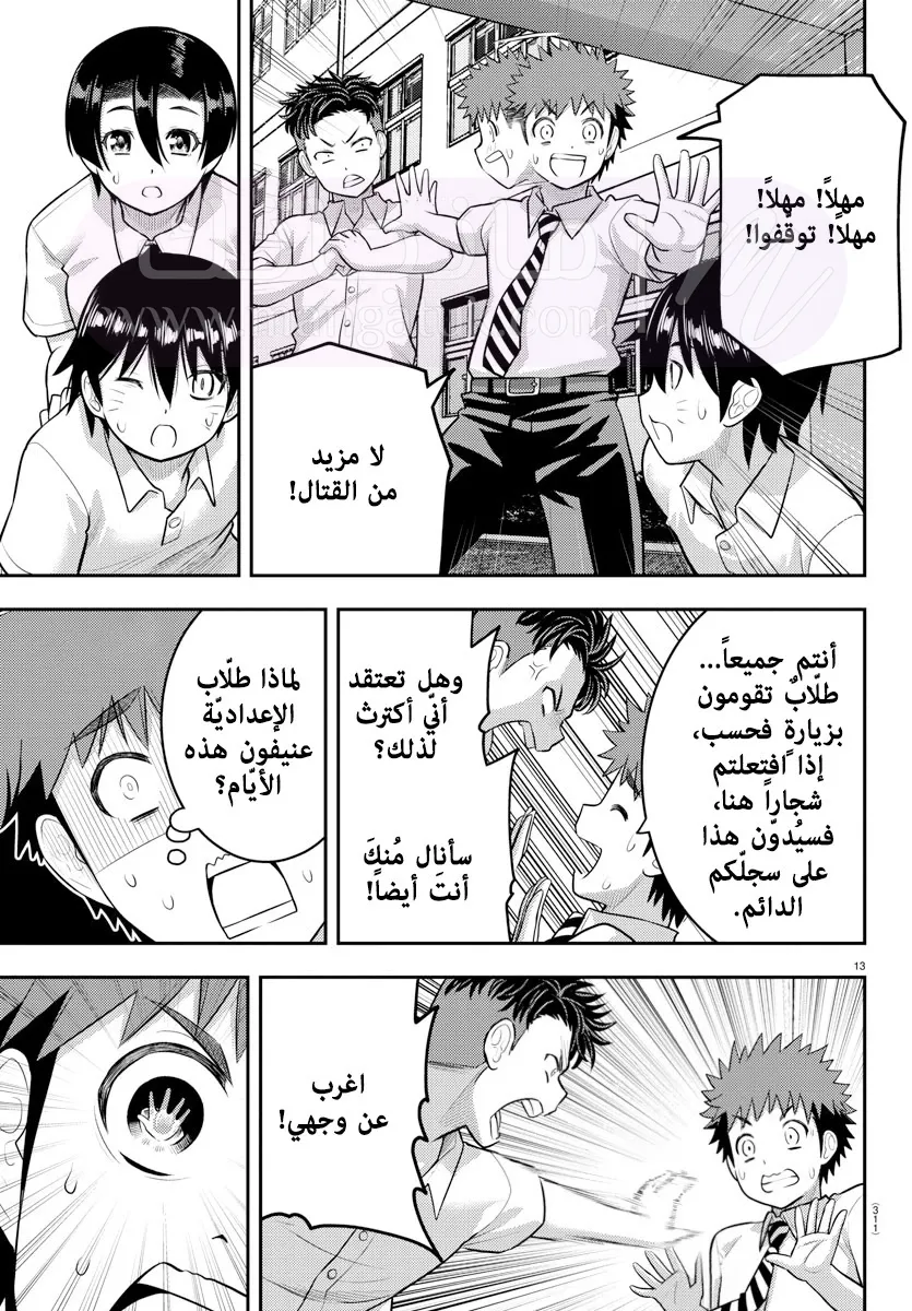 الصفحة 14
