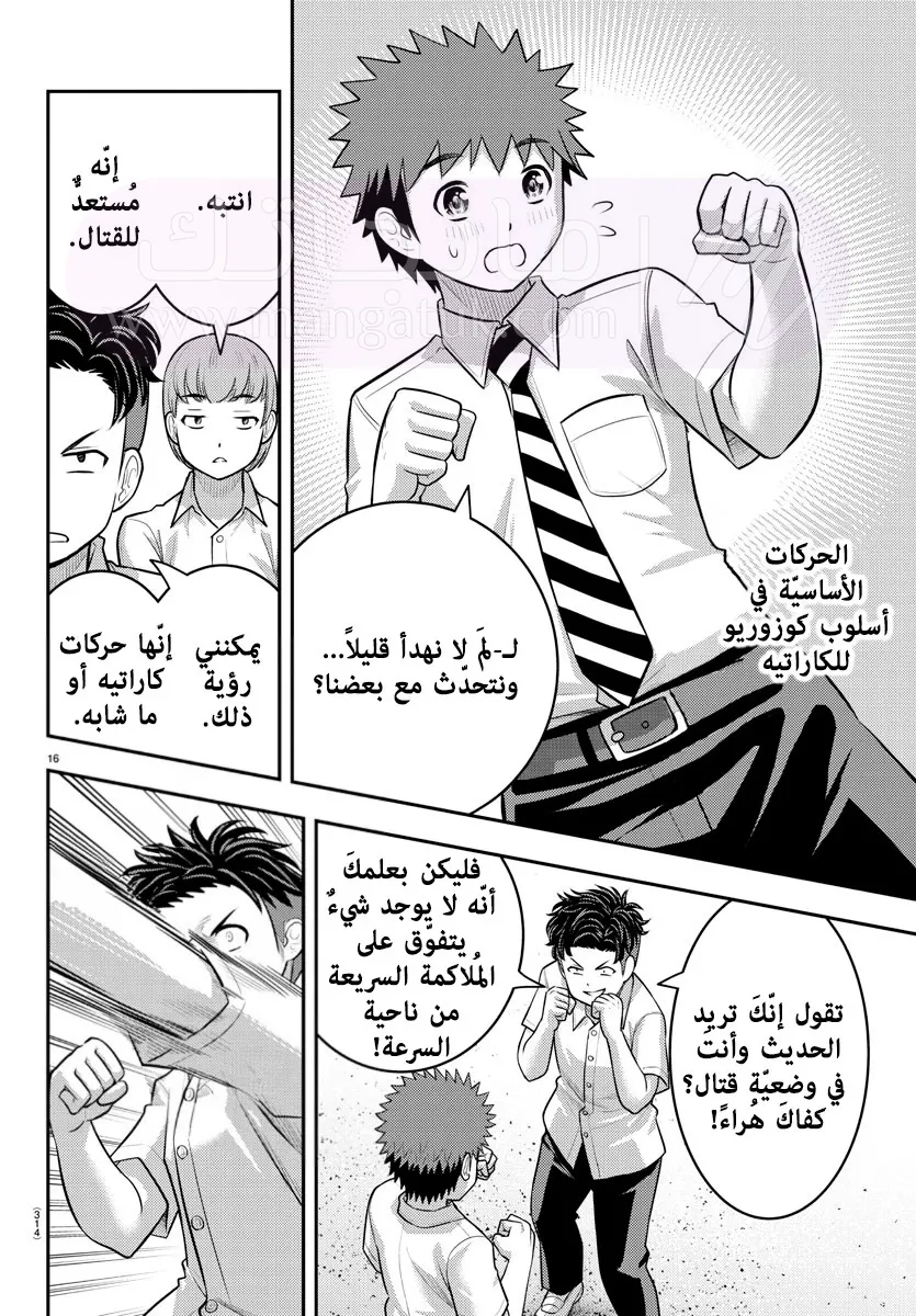 الصفحة 17