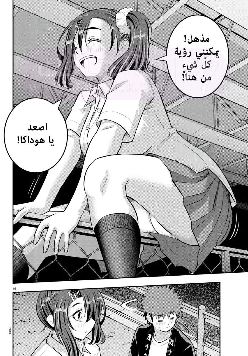 الصفحة 17