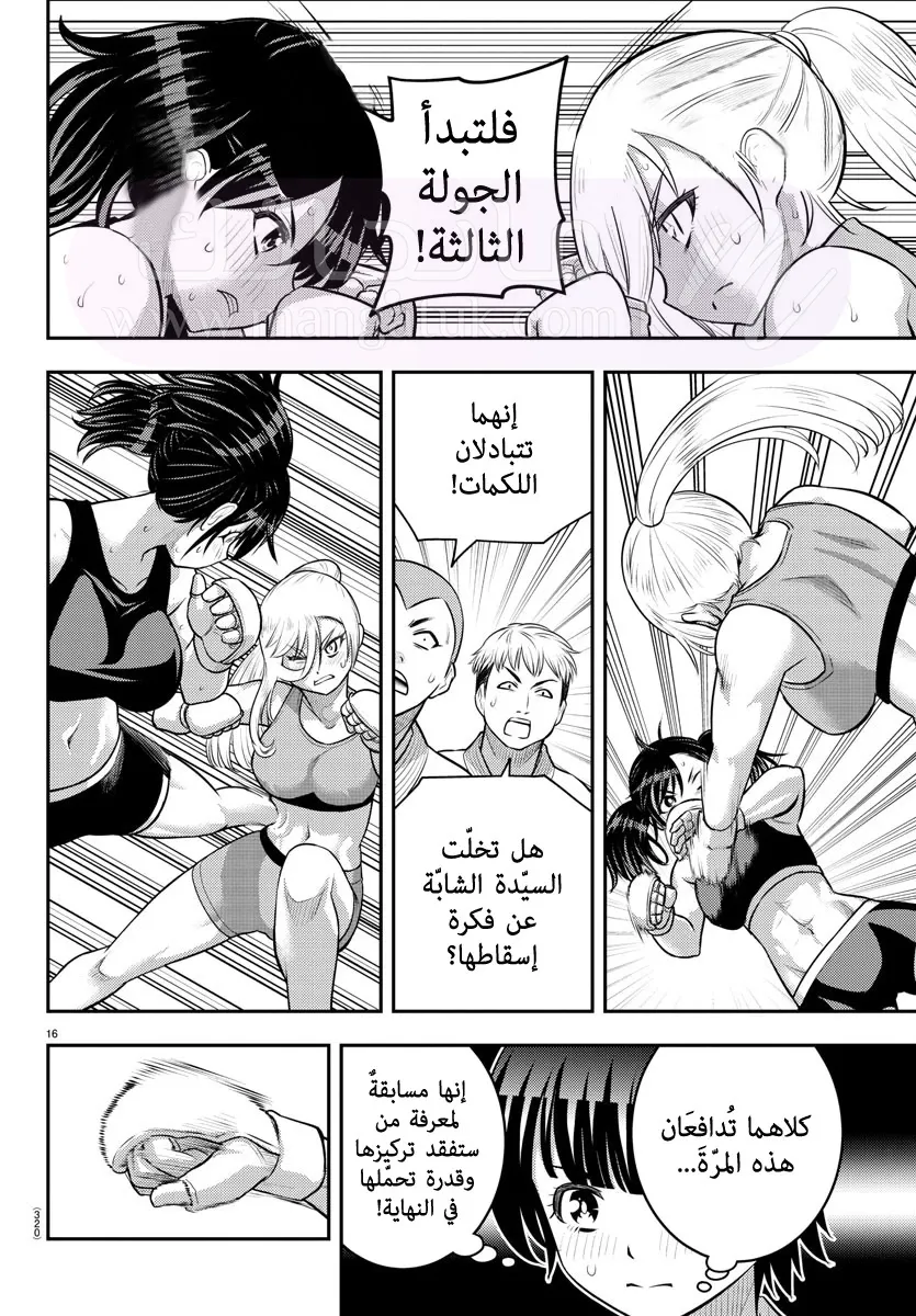 الصفحة 17