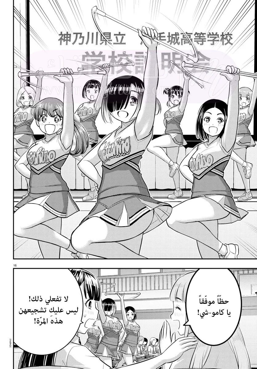 الصفحة 17