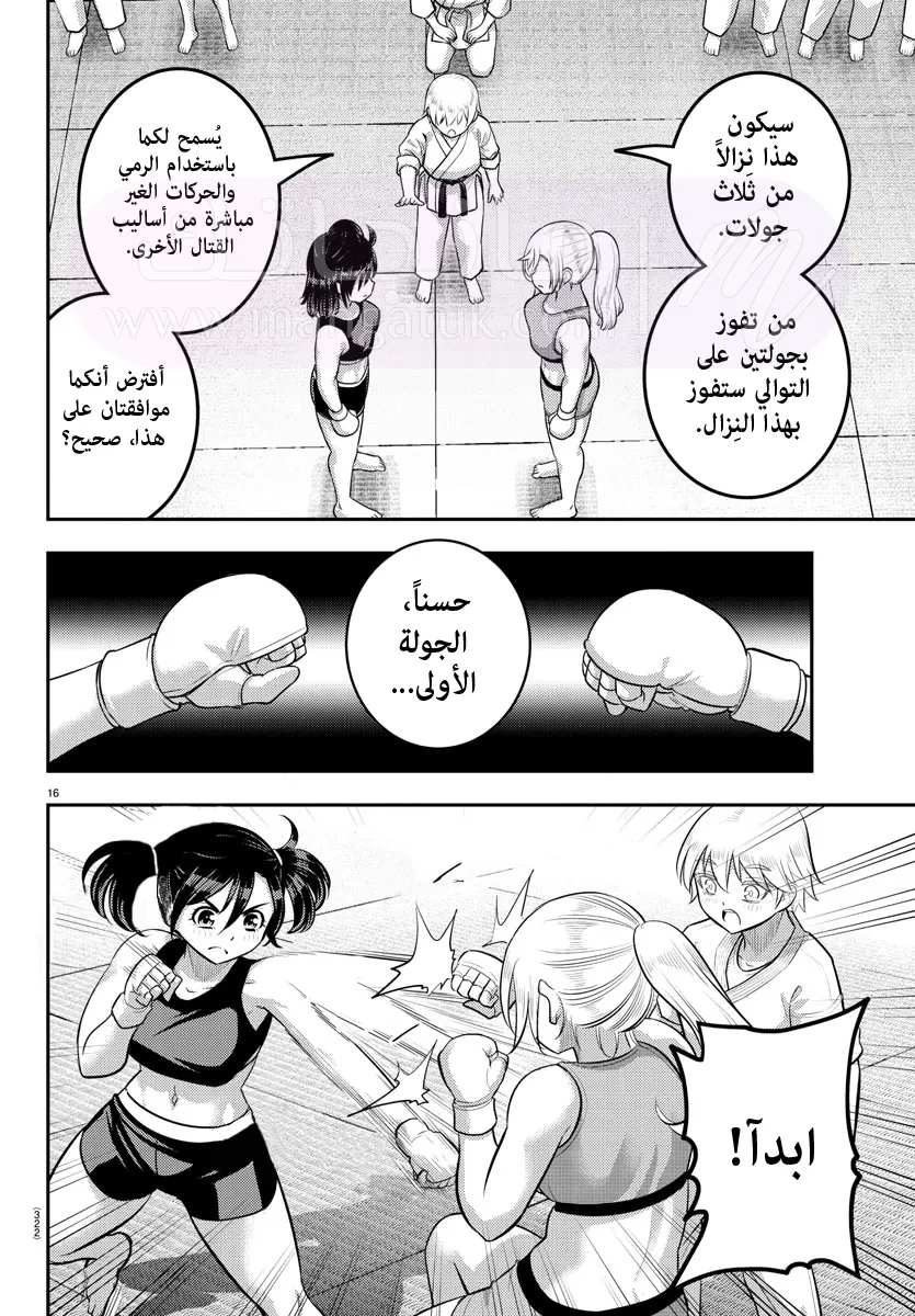 الصفحة 17