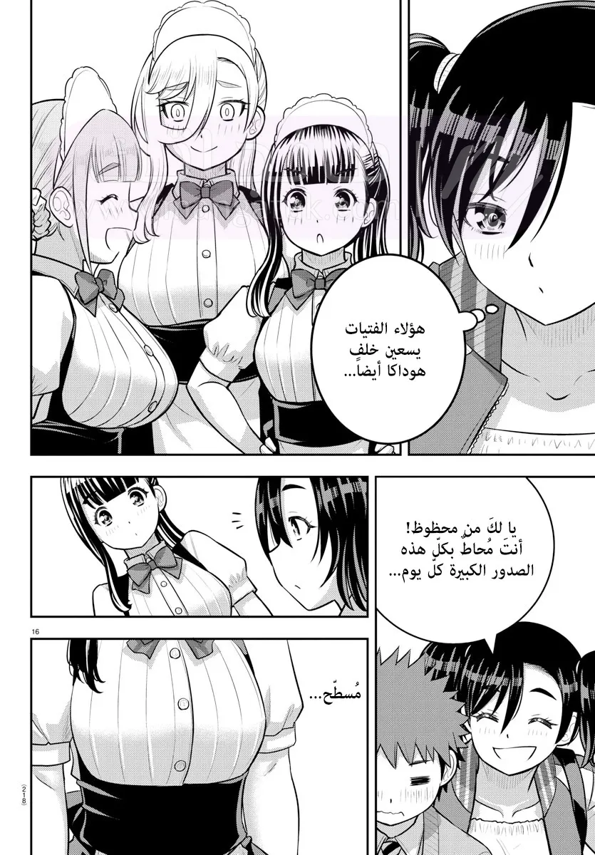 الصفحة 17