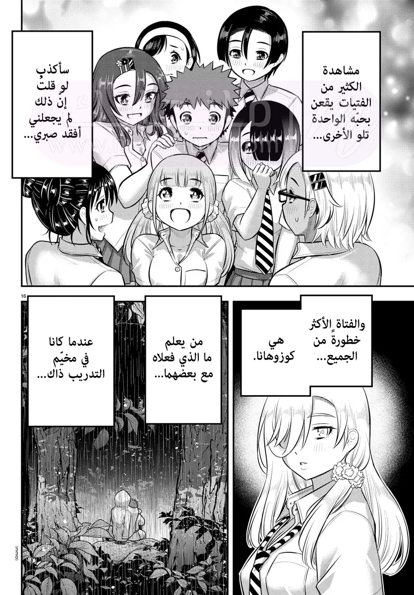 الصفحة 17