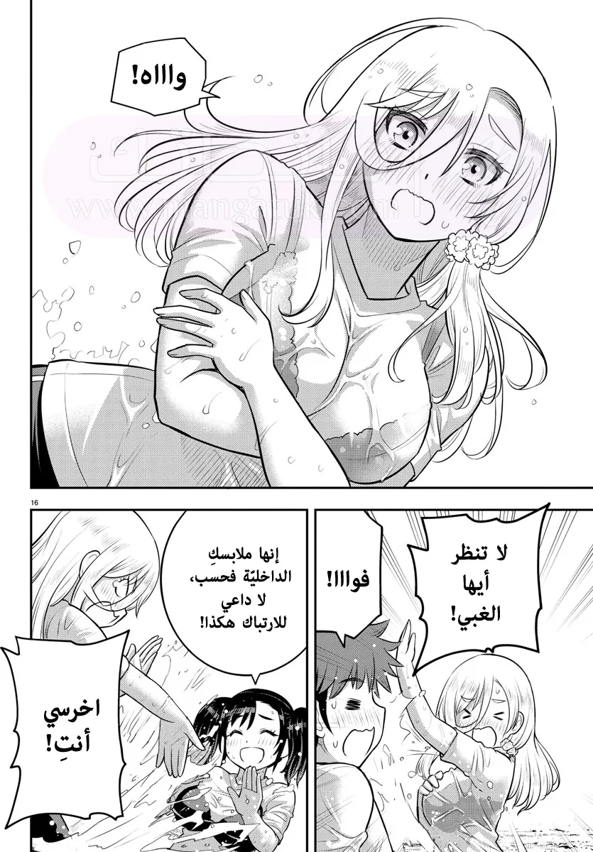 الصفحة 17