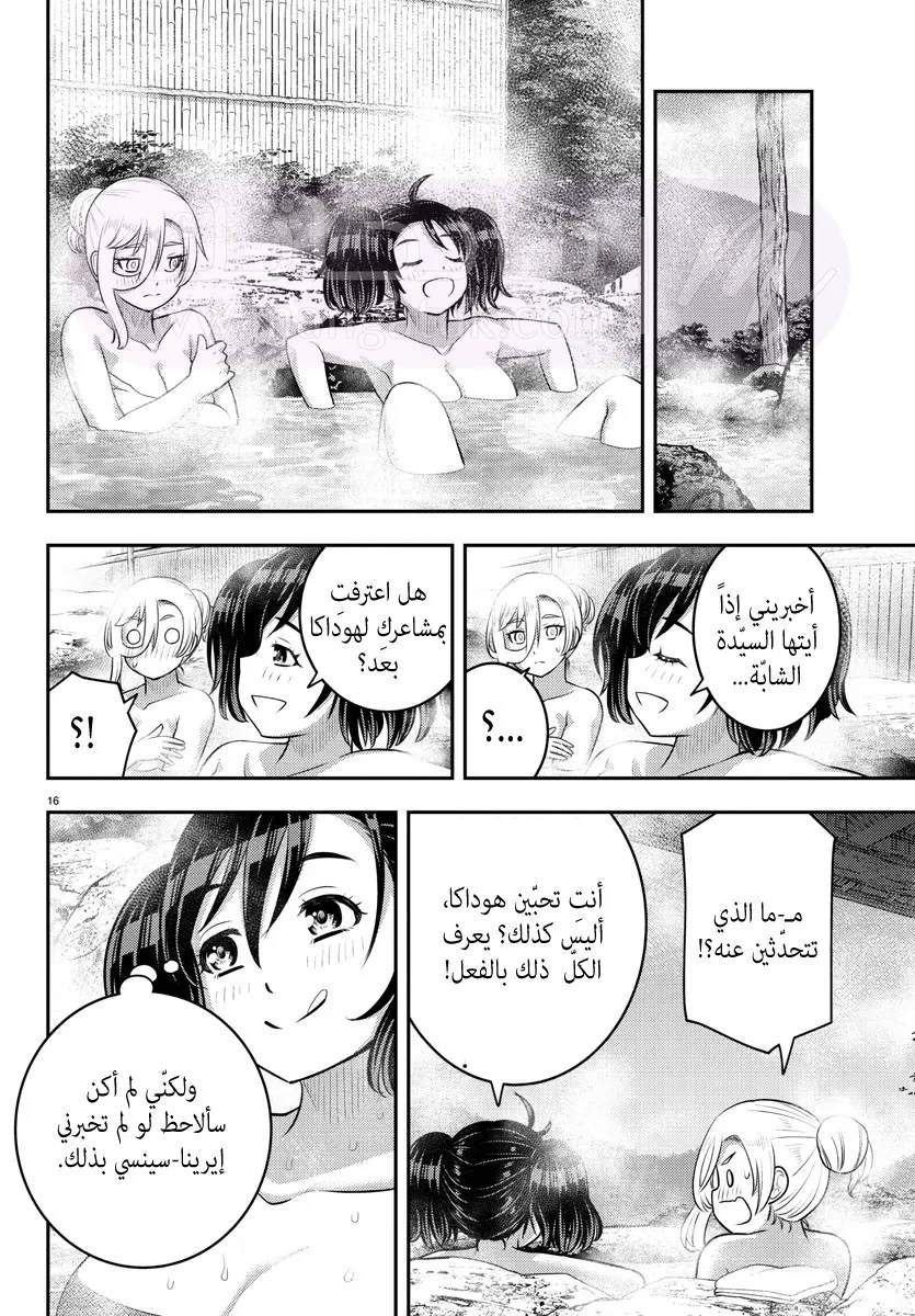 الصفحة 17
