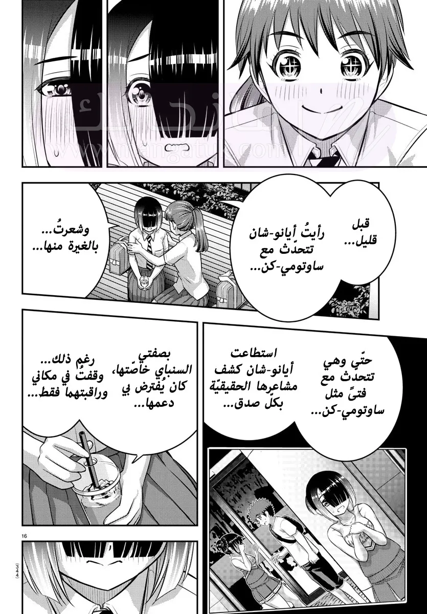الصفحة 17